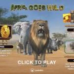 Africa Goes Wild Slots